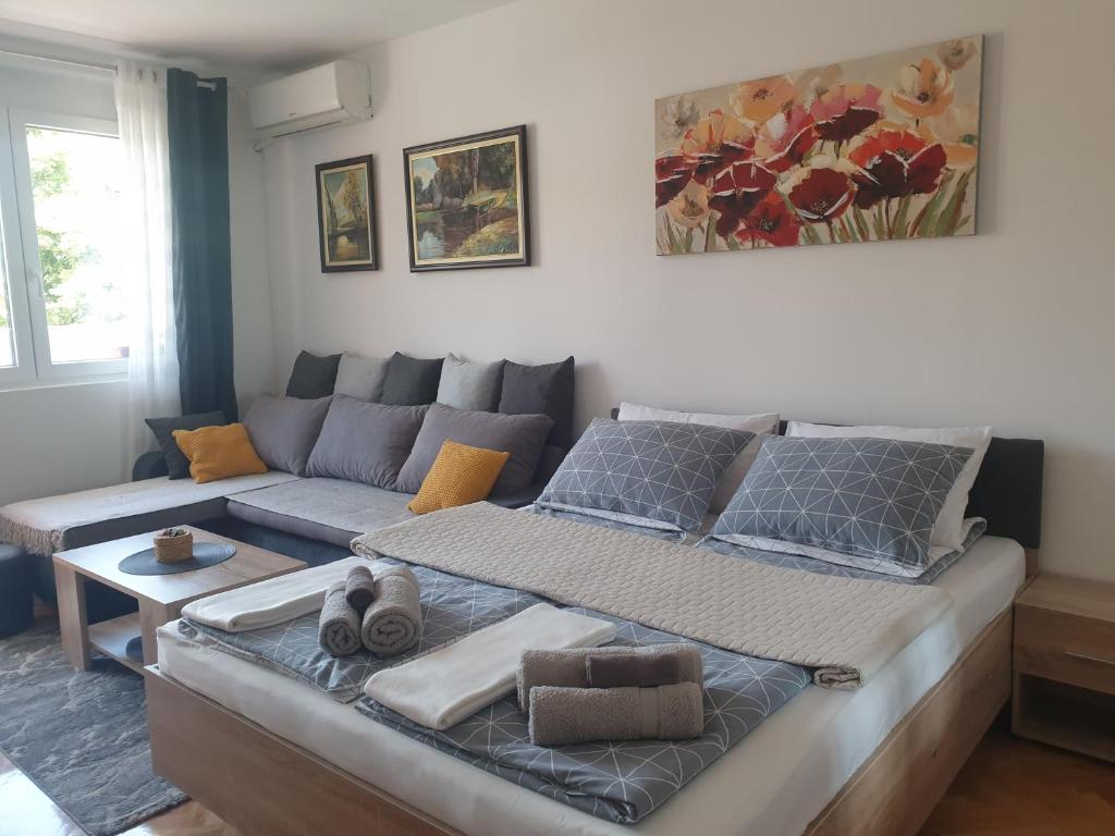 Despot Apartmani Niš photo 3