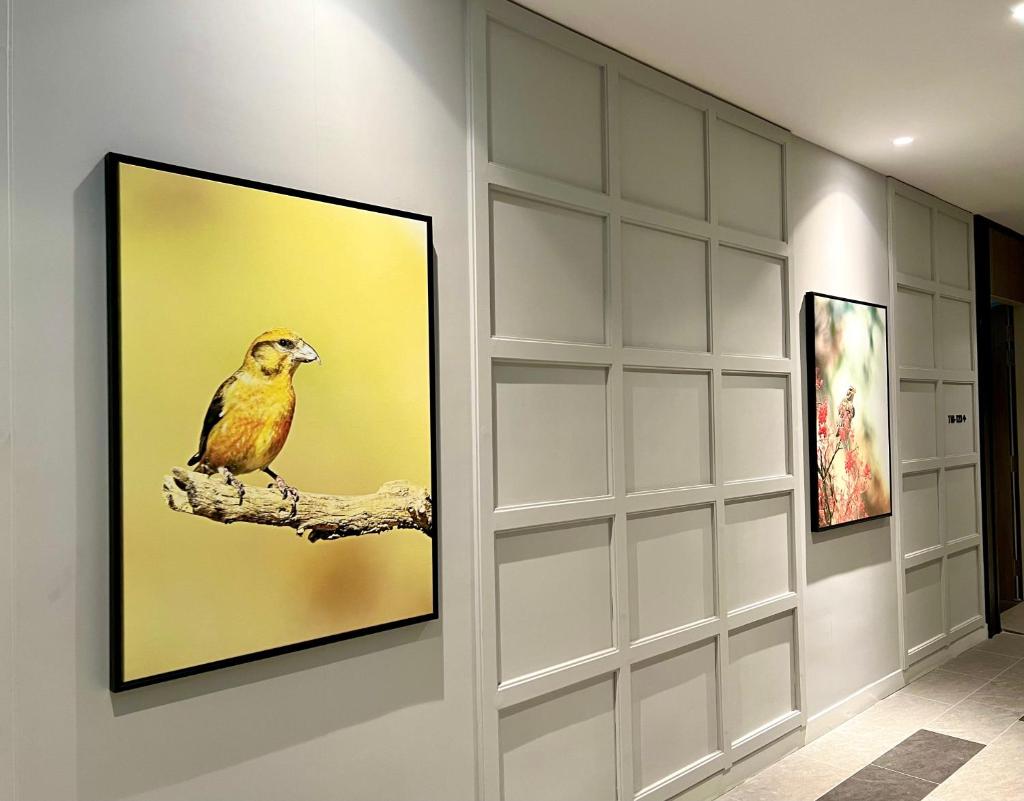 Le Vert Boutique Hotel photo 2