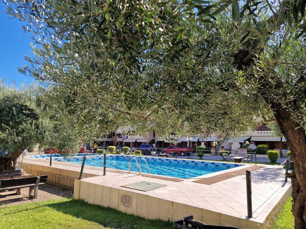 Eldana First line with Shared Pool photo 4