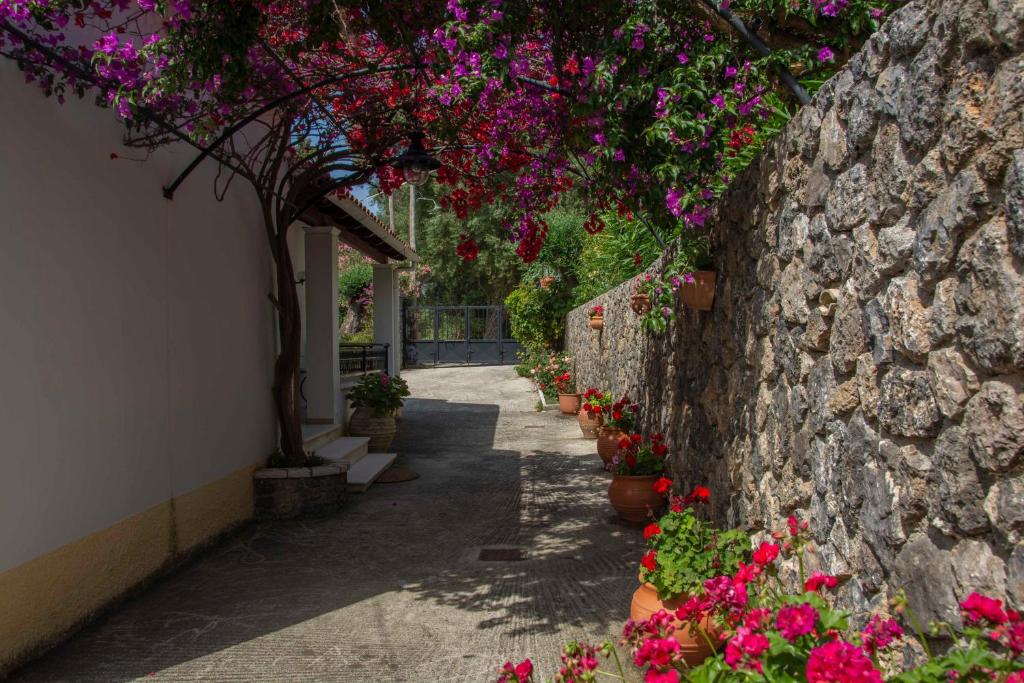 Emmy villa paleokastritsa photo 1
