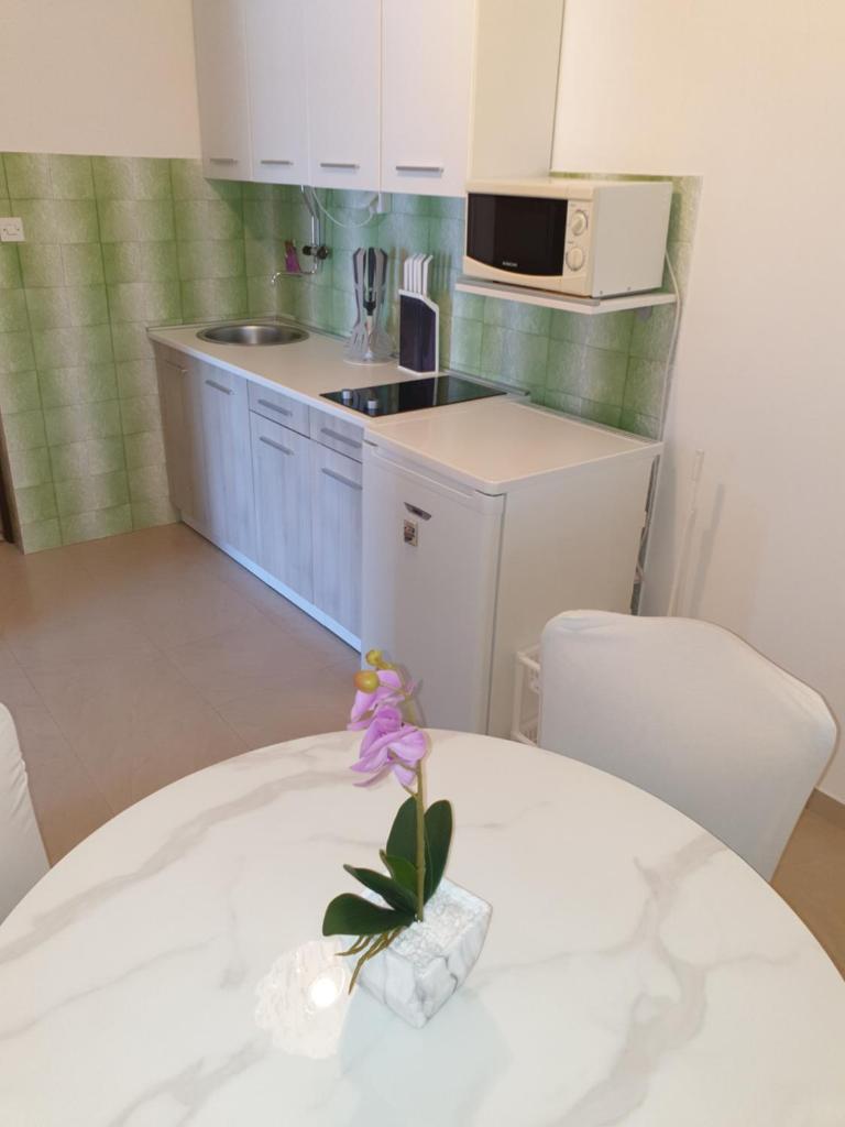 Apartments Vidakovic photo 2