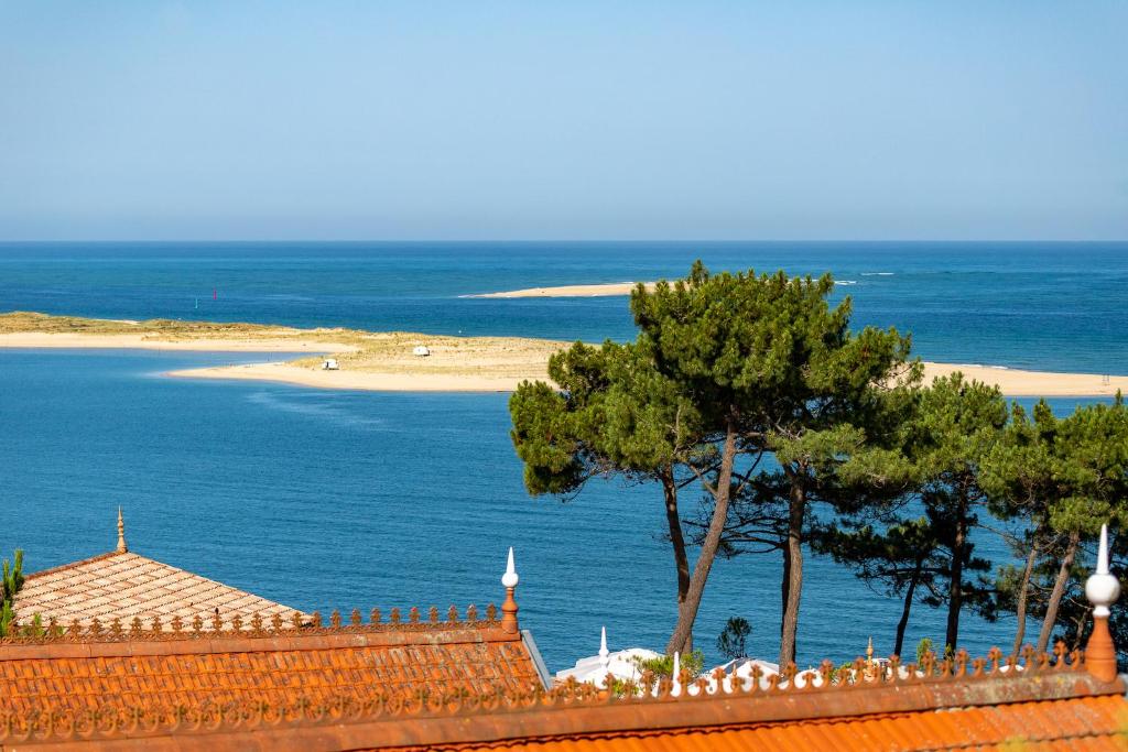 O'DYSSEE Appartement vue panoramique Bassin d'Arcachon