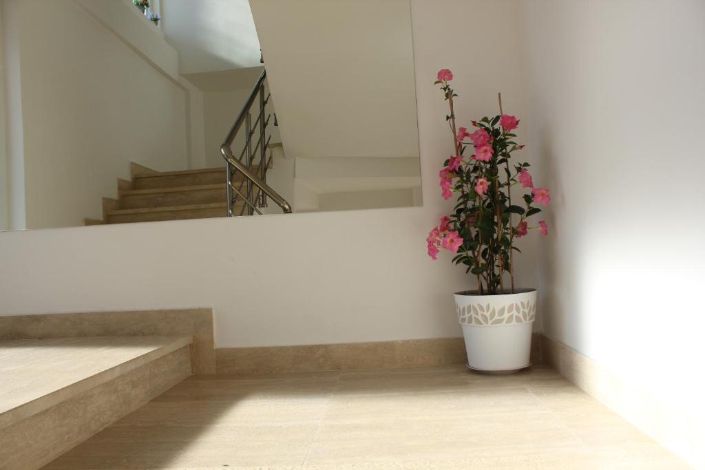 Apartments Kapisoda photo 3