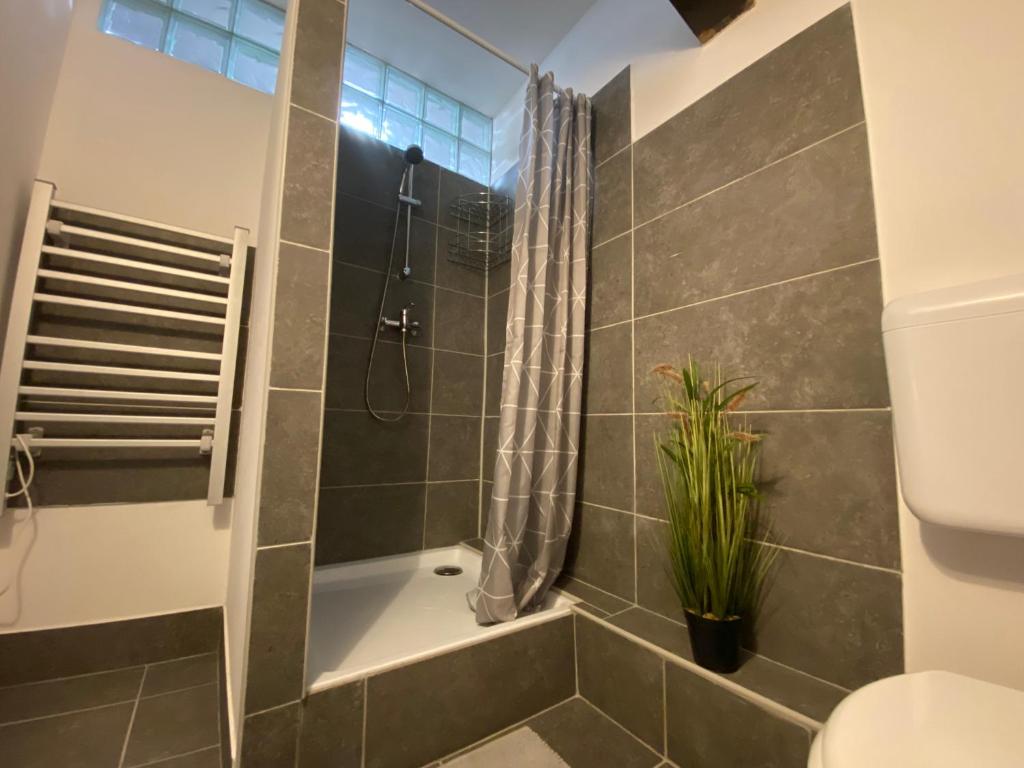 Bristol Apartment photo 4