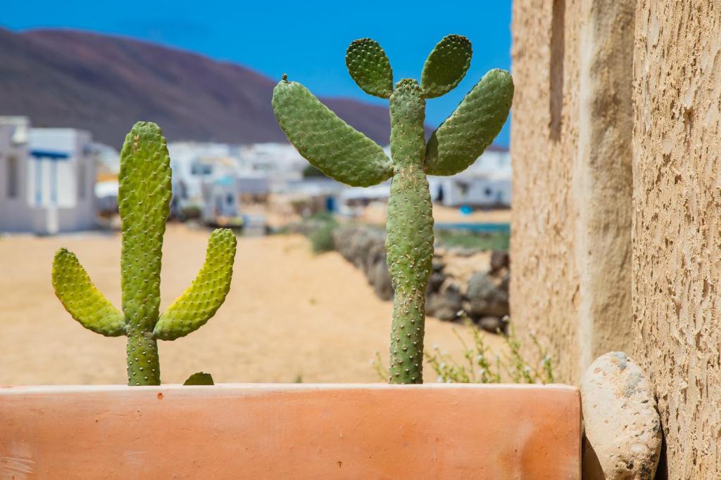 Eslanzarote La Duna House, Wifi, Sea views photo 3