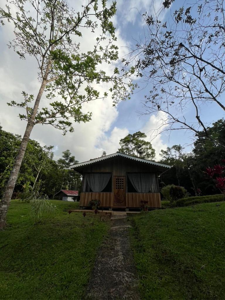 El Zota Hotel photo 1