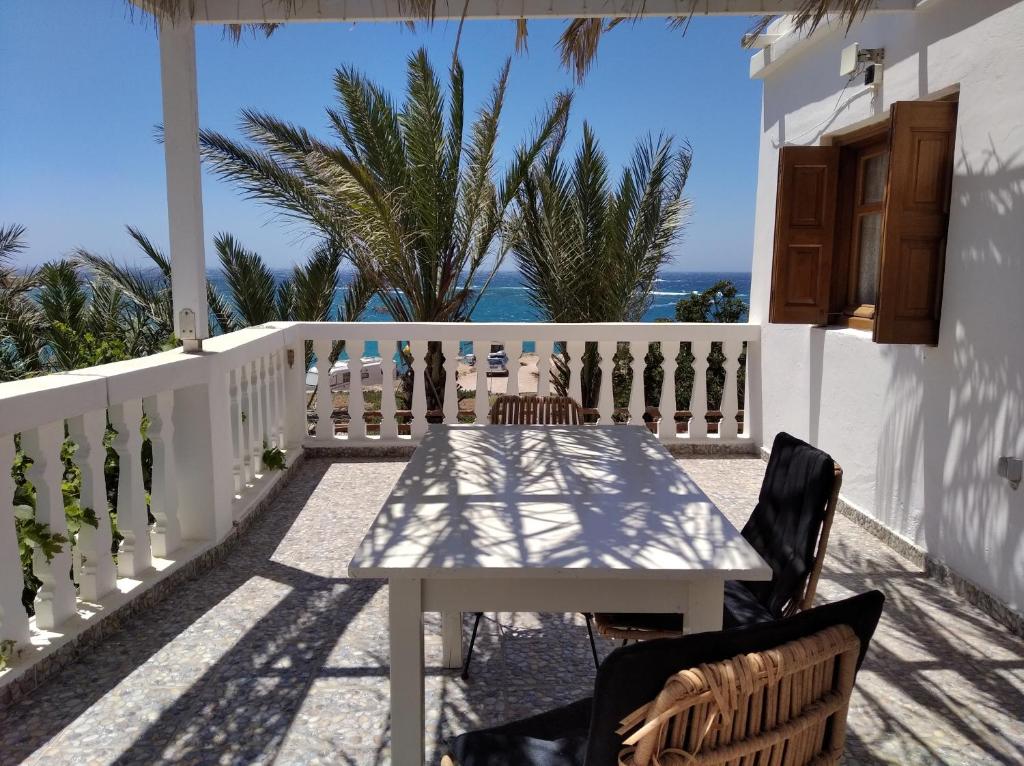 Palmhouses photo 1