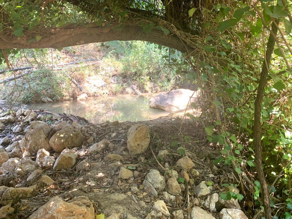 La Cabieda - Junto al Río Cañamares - ideal para grupos y familias photo 3