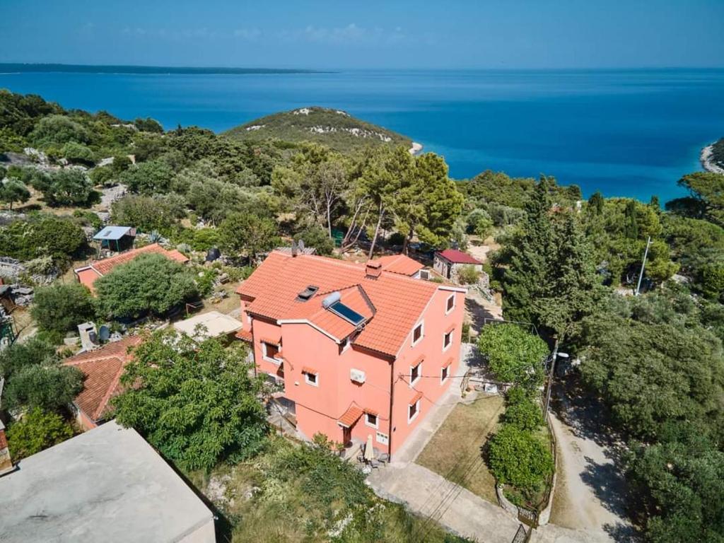 APARTMAN KRAJINOVIĆ photo 1