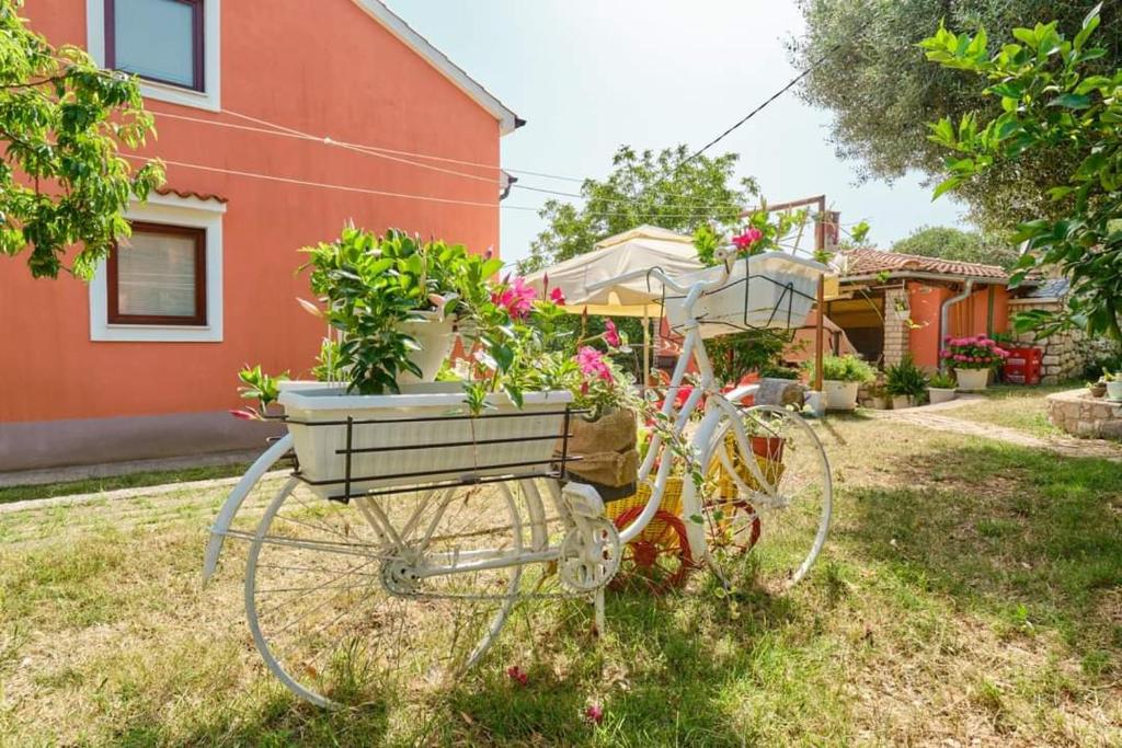 APARTMAN KRAJINOVIĆ photo 4