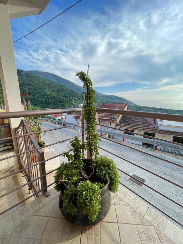 Ioannis (Family House) photo 3