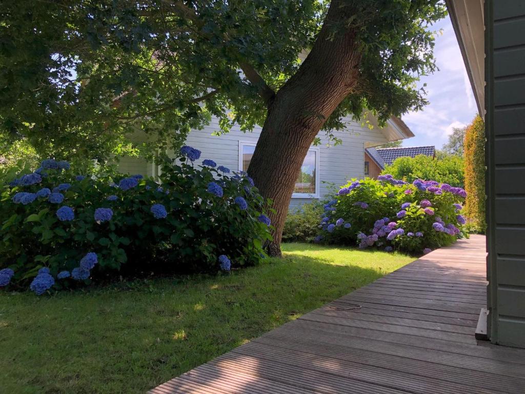 Idyllic Lakehouse - dog is welcome fenced garden photo 3