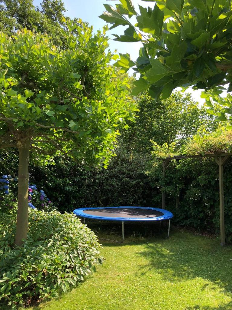 Idyllic Lakehouse - dog is welcome fenced garden photo 2