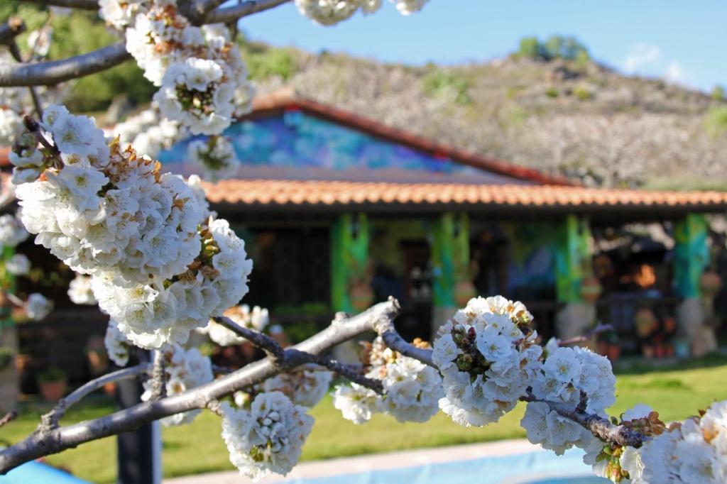 Casa Rural Entre dos Aguas photo 3
