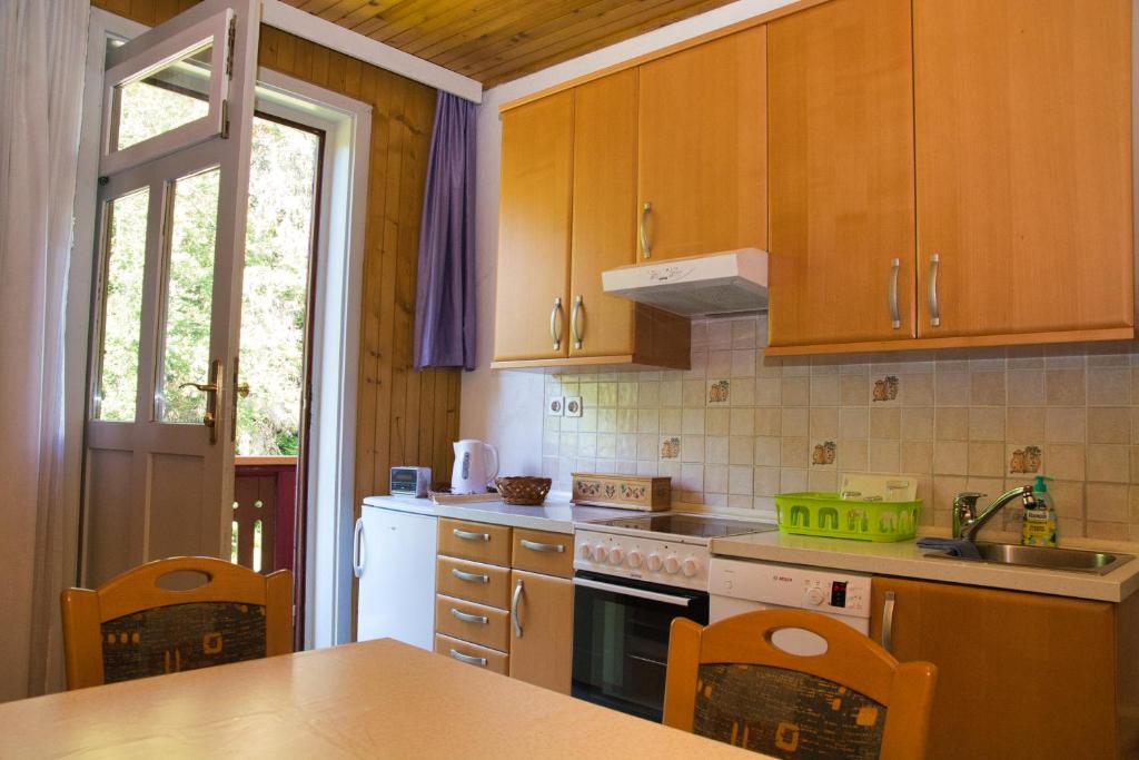 Apartma Vila Kočna photo 4