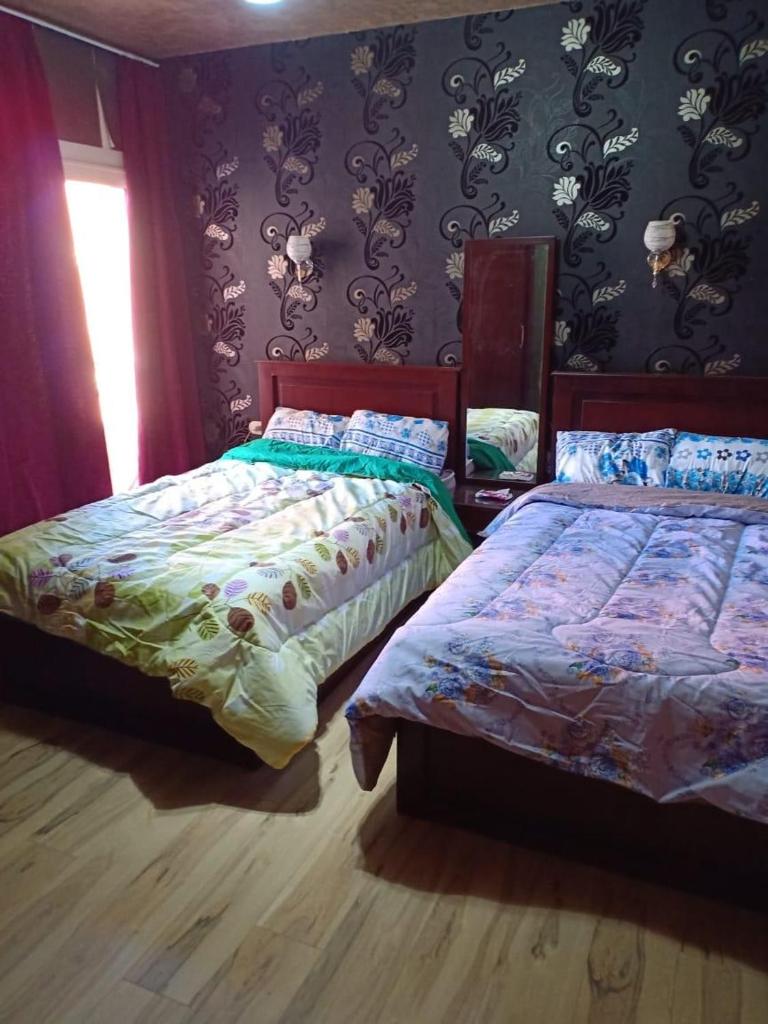 Apartment in Porto Sokhna - Families Only photo 4