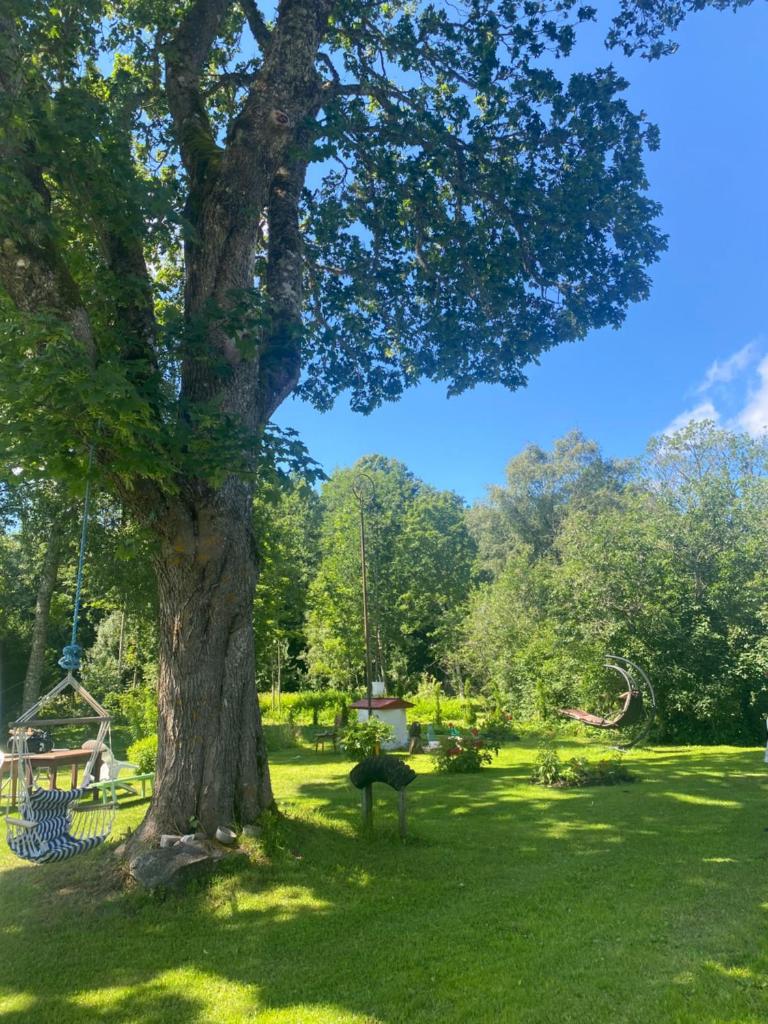 Private Hiiumaa Cottage plus Sauna and new indoor bathroom photo 1
