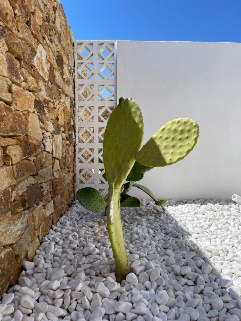 Kastro Antiparos photo 2
