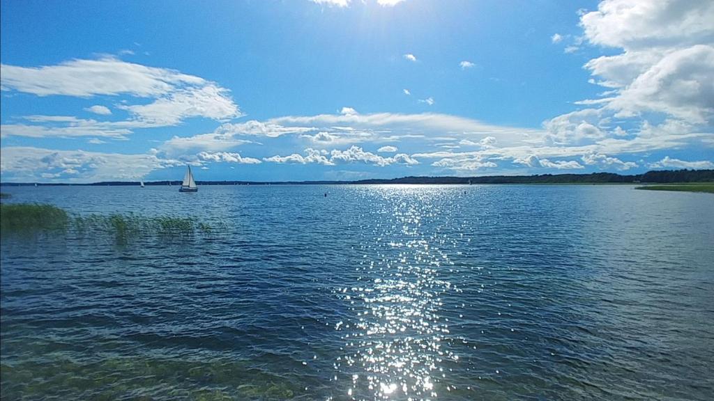 Apartament Żeglarski Vęgoria Deluxe z widokiem na Port photo 2