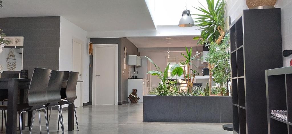 loft CARRASKETA photo 1