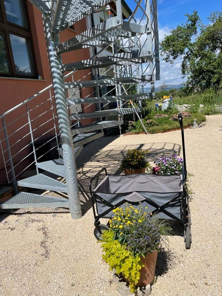 Ferienwohnungen im Hegau photo 4