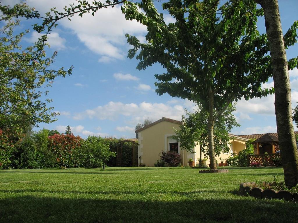 AGAPANTHE photo 3