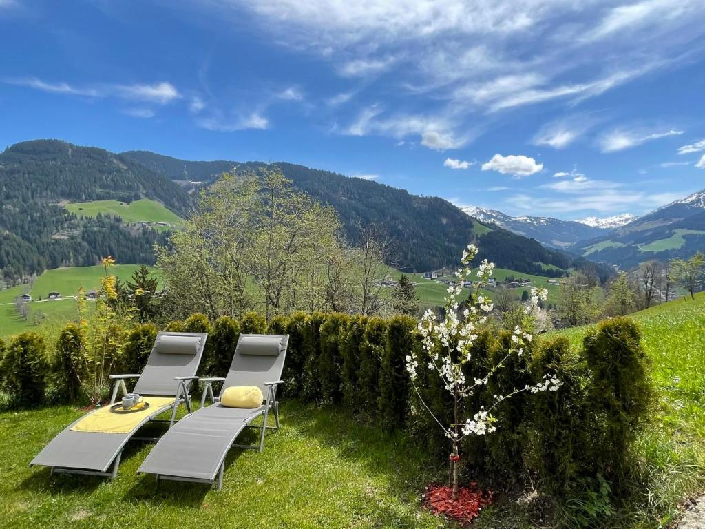 Apartment Bergblick - WIL110 by Interhome photo 1