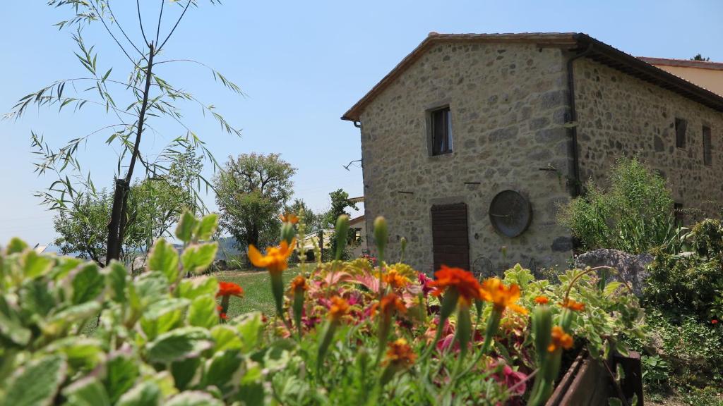 CASTAGNA DULCIS photo 3