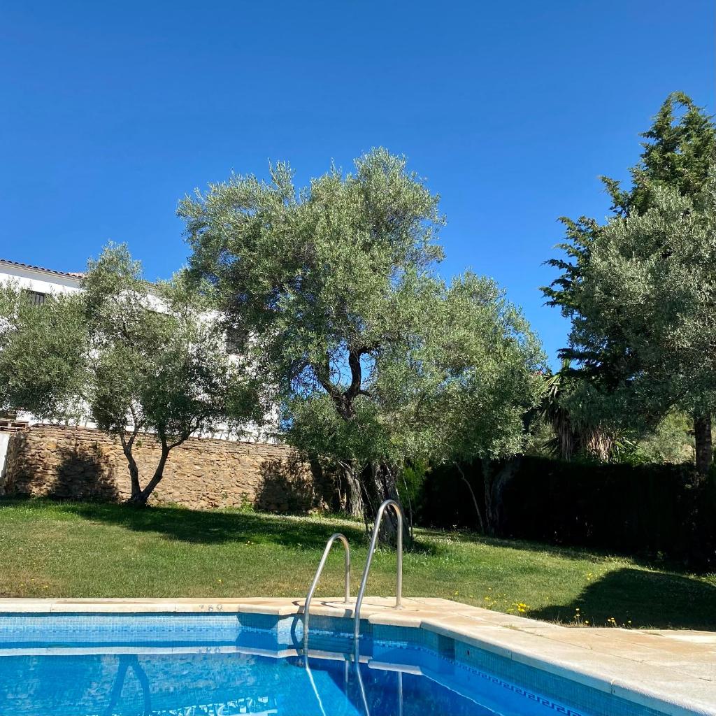 El Molino de La Quinta photo 2
