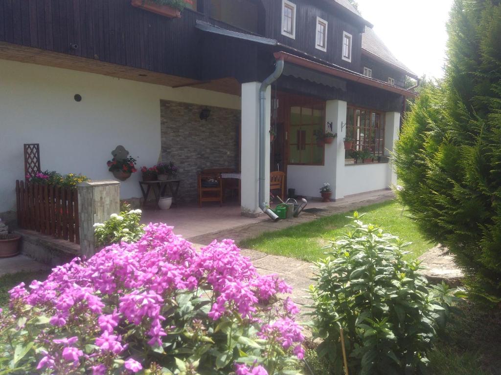 Ubytování U Sviráků photo 2