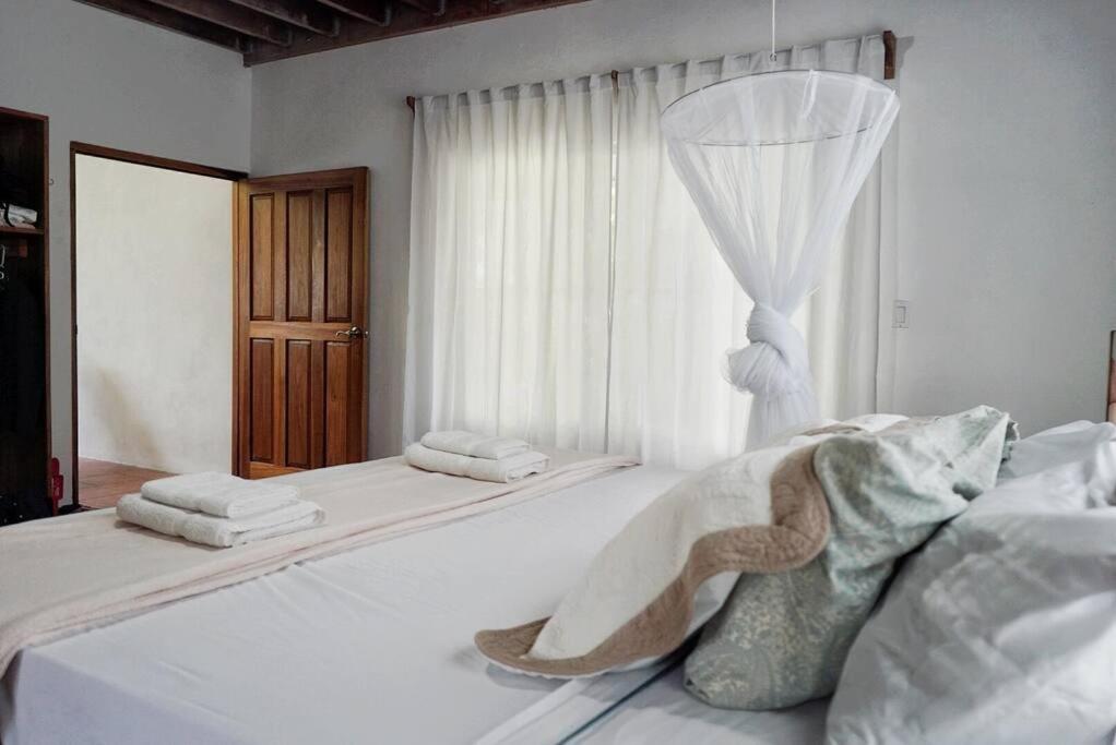 Casa Moes photo 3