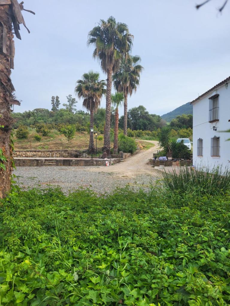 Casa Rural Casa del Tigre photo 2