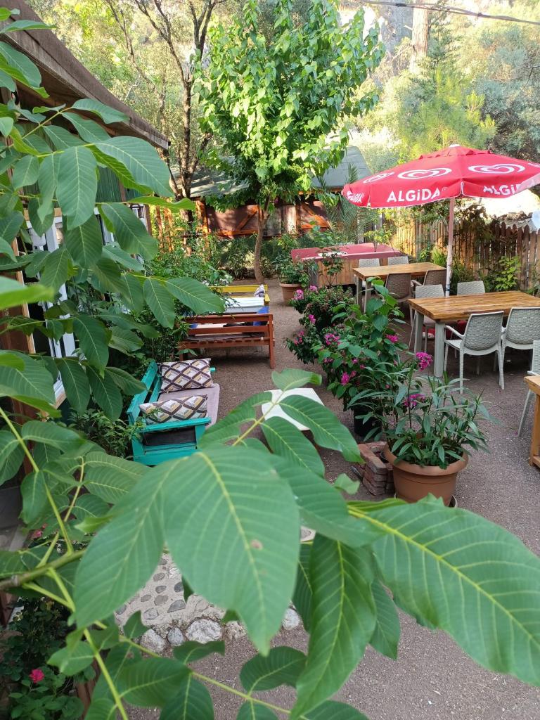Canario Bungalows photo 4