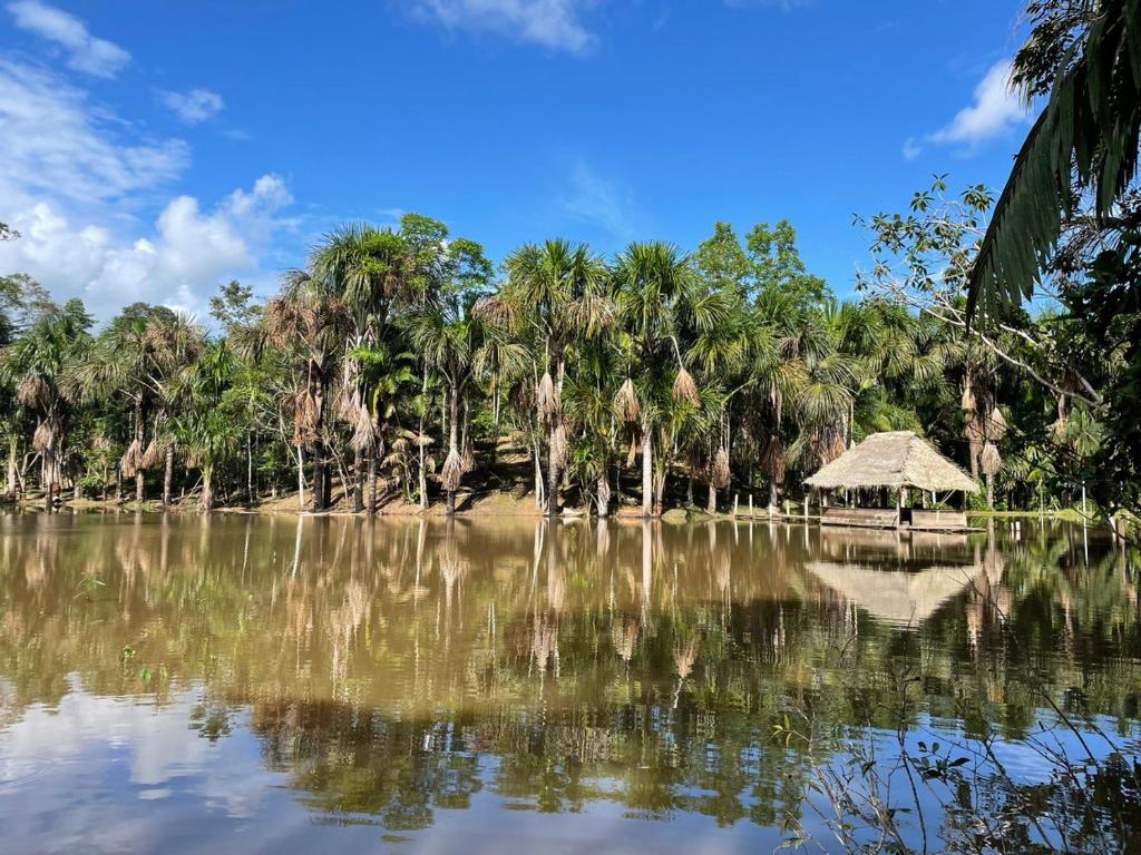 Camu camu jungle villa on Aguajale lake - supboard&vinyl photo 3
