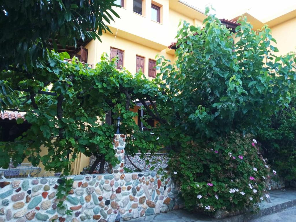 Vasileiou photo 3