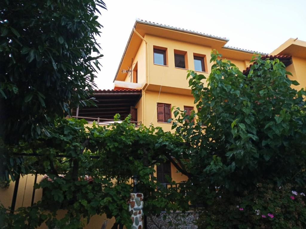 Vasileiou photo 2