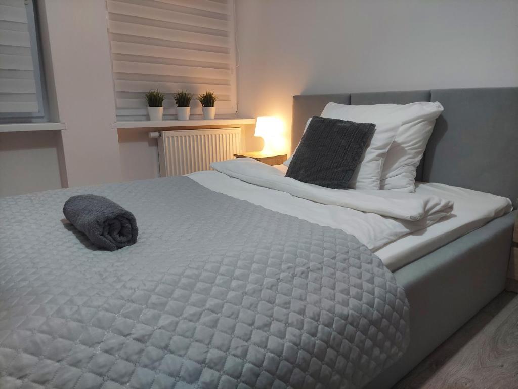 Apartament River Skierniewice photo 4
