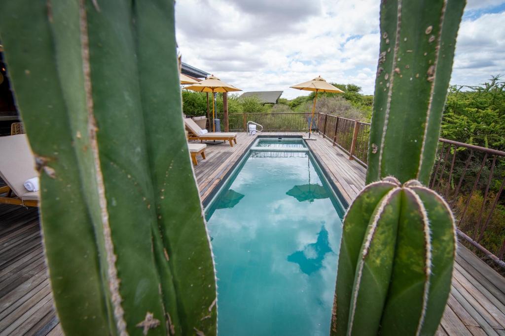 Viatura Omún, San Miguel de Allende, All Inclusive photo 3