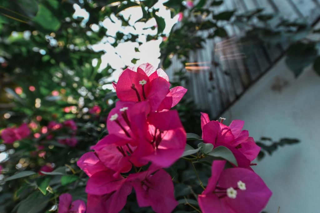 Oh Battambang Boutique Hotel photo 4