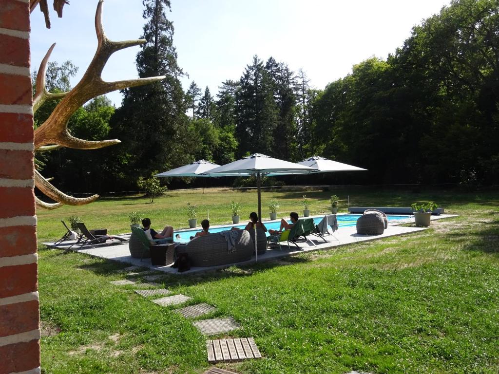 Château Les Villiers - Au cœur de la Sologne photo 2