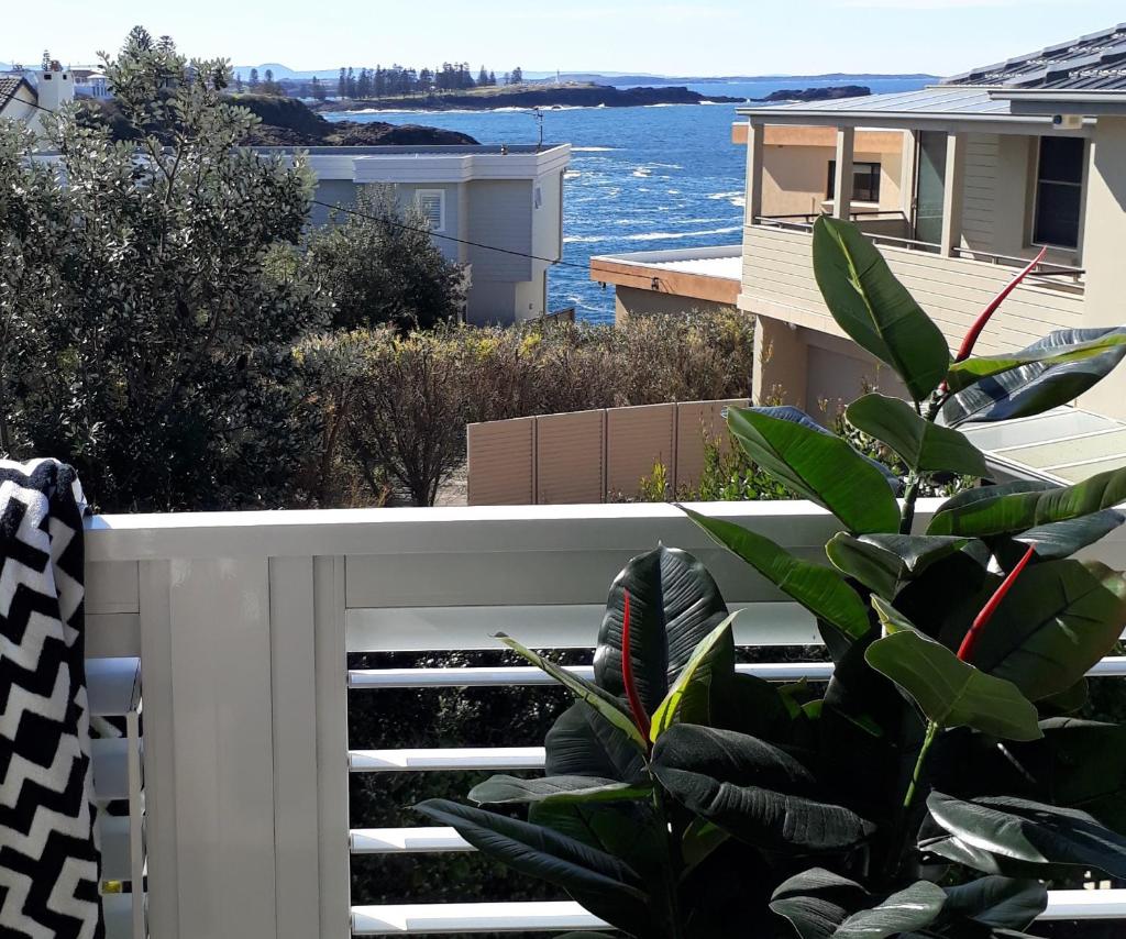 Shutters-Waterfront-Private-at Little Blowhole photo 2