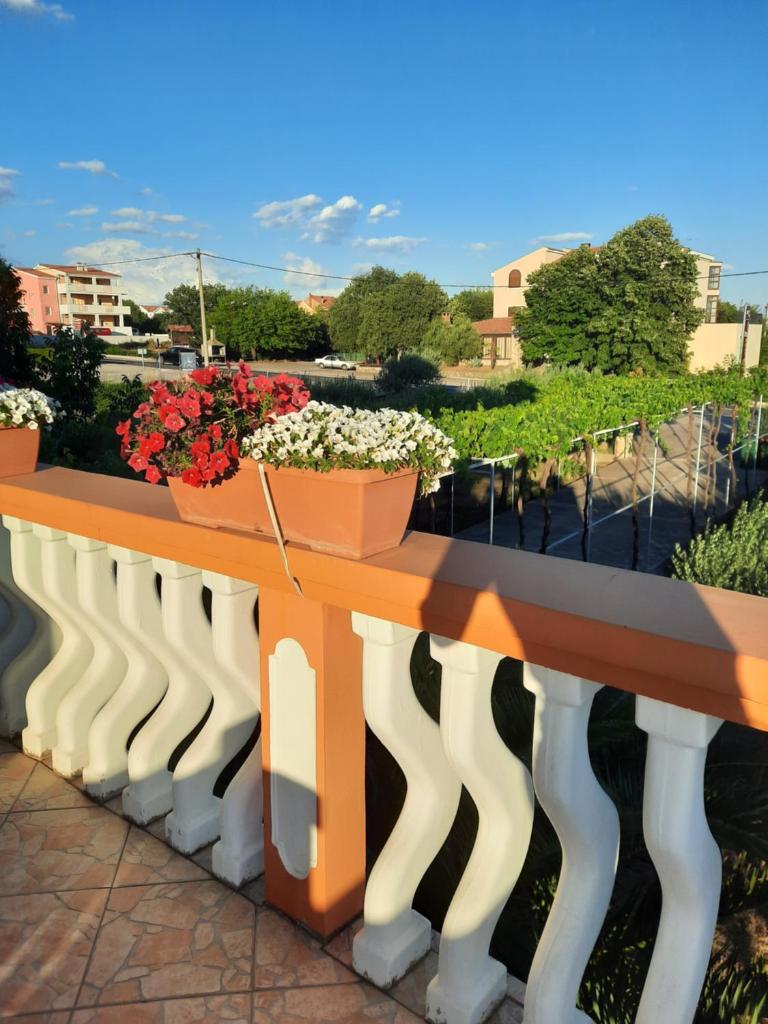 Apartman Bianca photo 2
