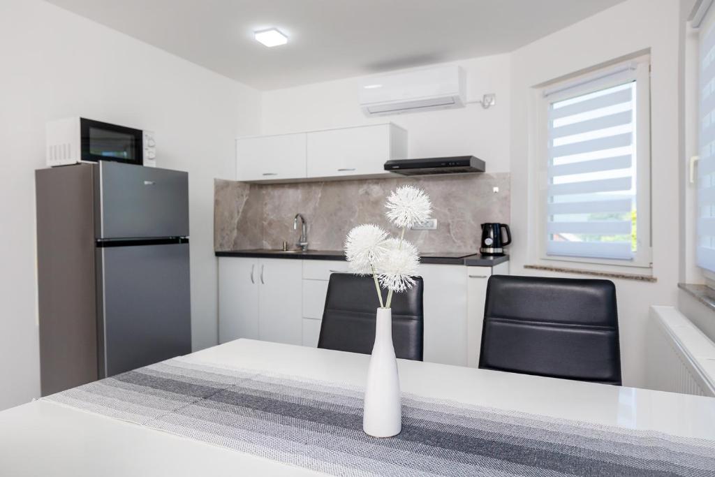 Apartment Izvir Lahinje photo 2