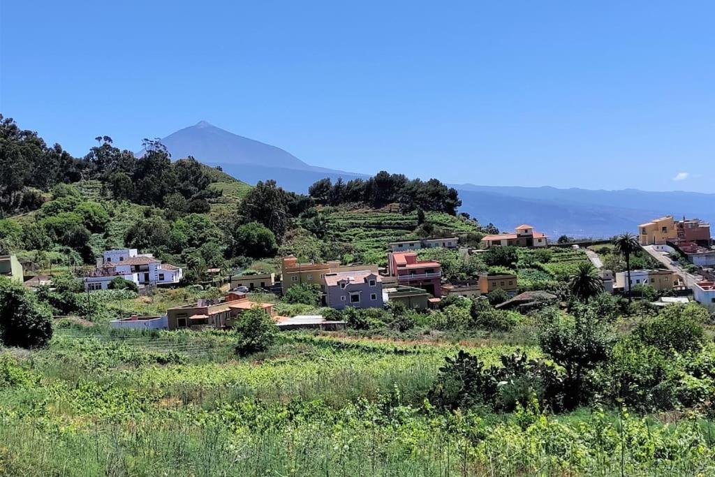 Casa Nogal photo 3