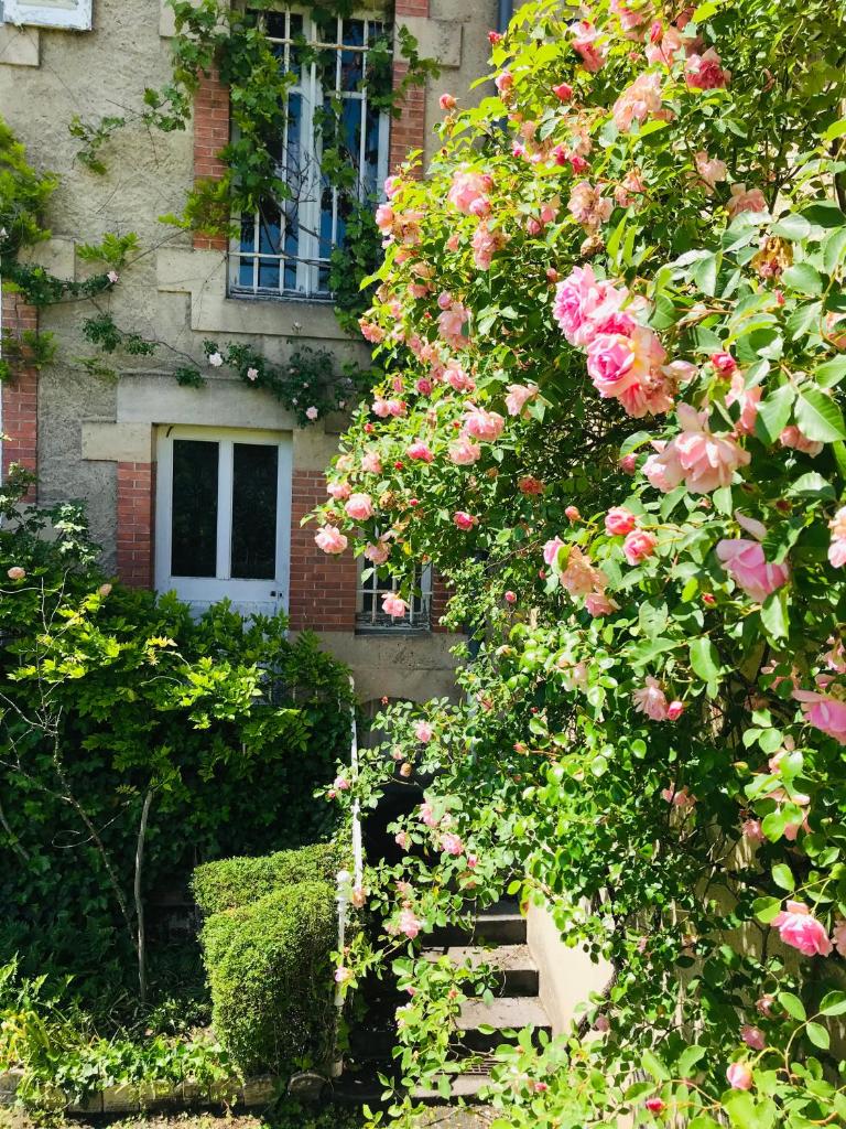 La Maison des Roses photo 4