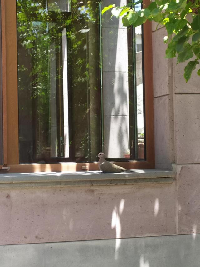 Mashtots B&B photo 3