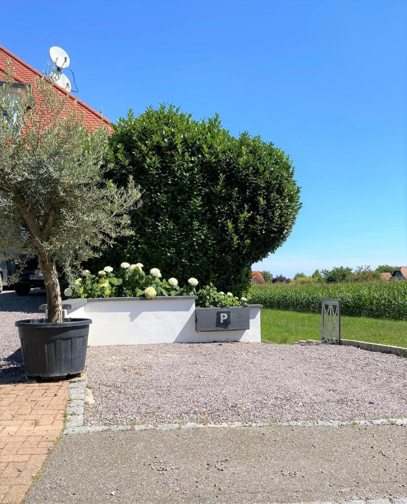 Appartement -Villa ROYAL photo 3