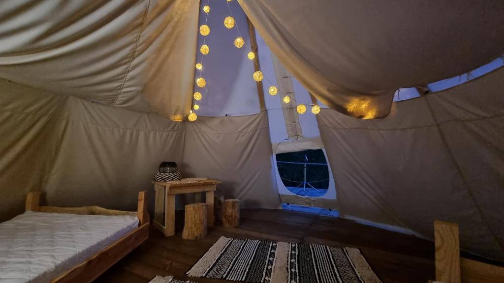 Tipi Bieszczady Puchary photo 3
