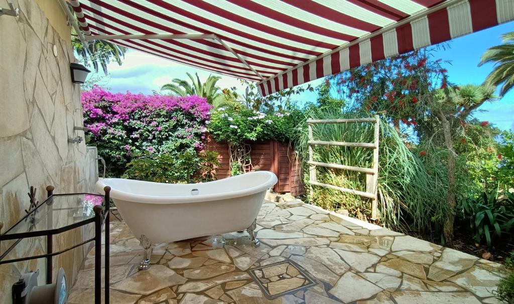 Finca Paraiso Monturrio Oase der Ruhe photo 4
