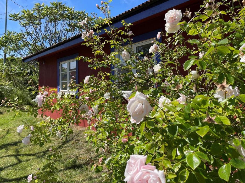 Holiday home Skärhamn VII photo 2